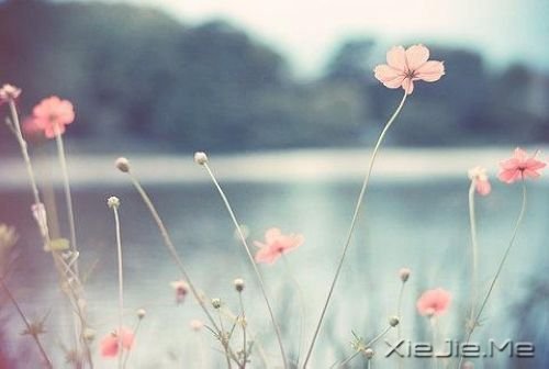 ������������õ��ܻ��ڲ��������� (8)