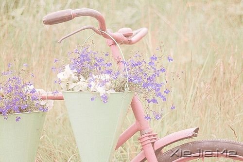 С����ͼƬ (3)