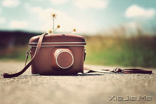 幸福,在路上
