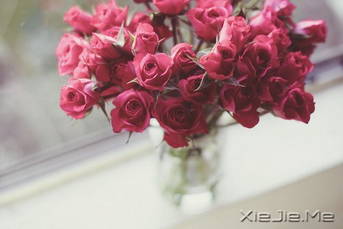 文字:我要你懂我